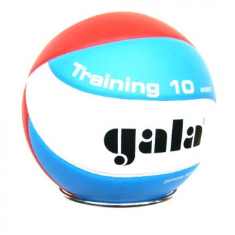 Мяч волейбольный GALA "Training 10" BV5561S PU