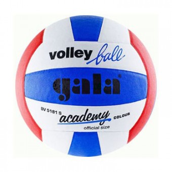 Мяч волейбольный GALA Academy BV5181S