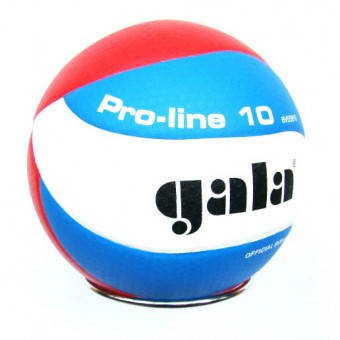 Мяч волейбольный GALA Pro-Line 10 BV5581S PU(микрофибра)